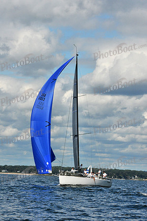 2010 IRC LIS 1487