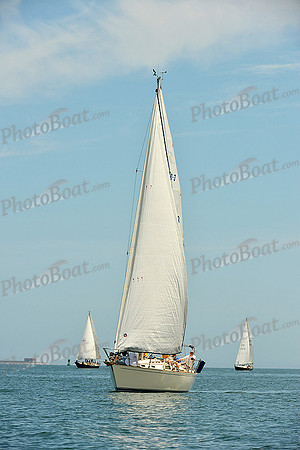 2015 Southern Bay Race Week F 809