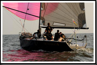 proof_2010 Gov Cup B 191