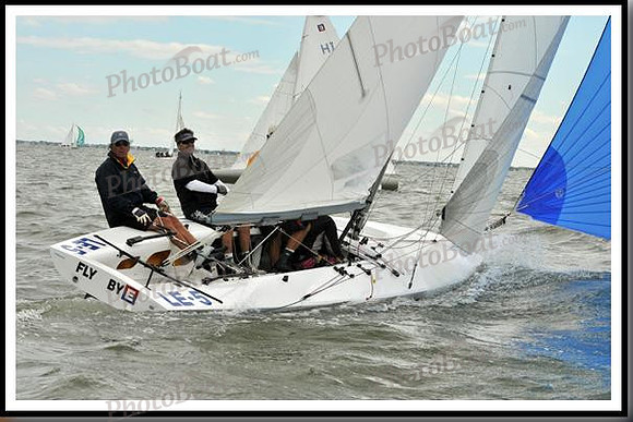 proof_2010_EScows_A 295