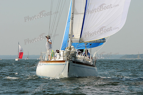 2012 Vineyard Race A 303