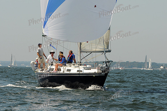 2012 Vineyard Race A 232