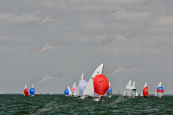 2012 Thistle Midwinters B 1444