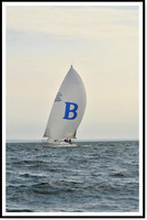 Bombardino