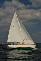 Puffin 25