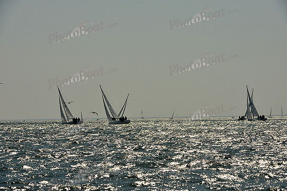 2015 St Pete NOOD D 769