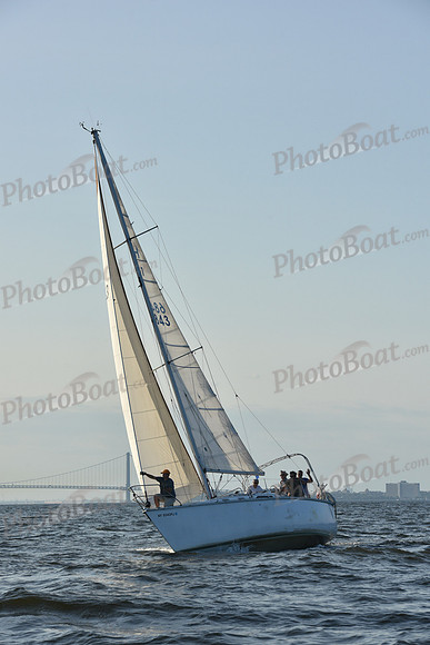 2019 ALIR_2266