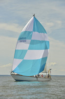 2016 Vineyard Race A_0990