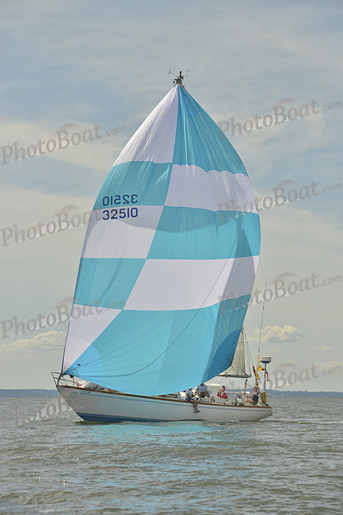 2016 Vineyard Race A_0990