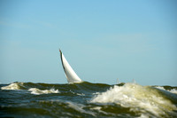 2016 Charleston Race Week B 0056