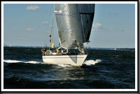 proof_2010_Vineyard_Race_0422