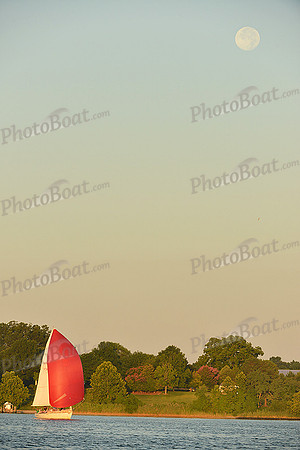 2015 Gov Cup C 343