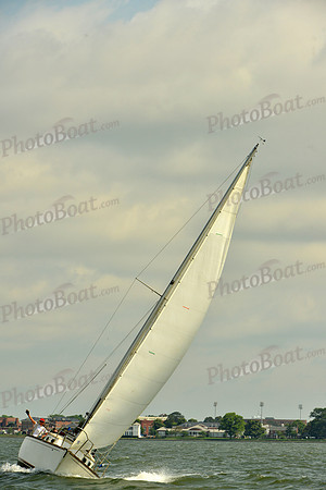 2016 Southern Bay Race Week G_0288