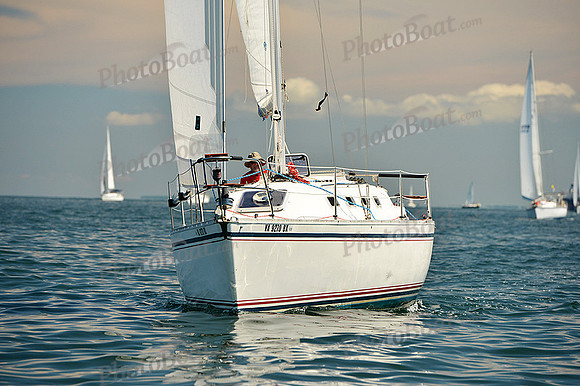 2015 Cape Charles Cup C 366