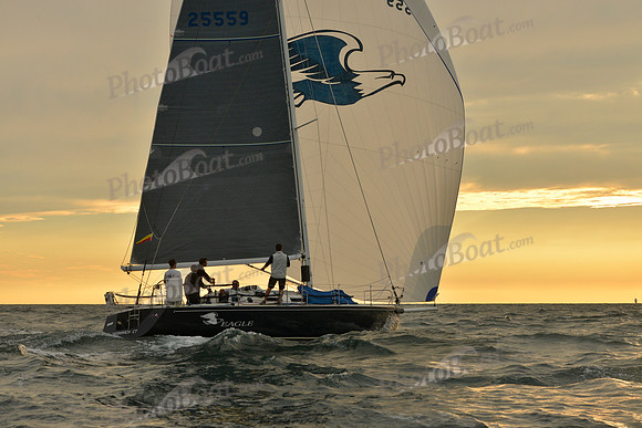 2016 Vineyard Race B_1033