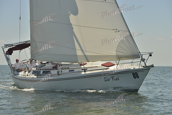 2017 Southern Bay Race Week B_1129
