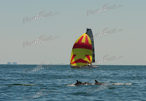 2015 Cape Charles Cup B 492