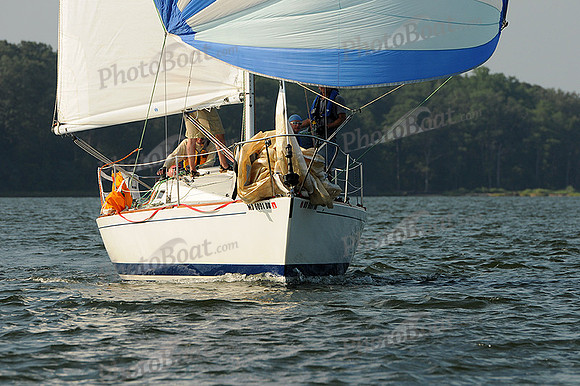 2012 Gov Cup B 1126