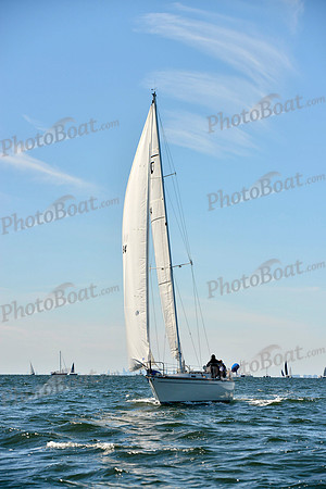 2017 Vineyard Race A_0297