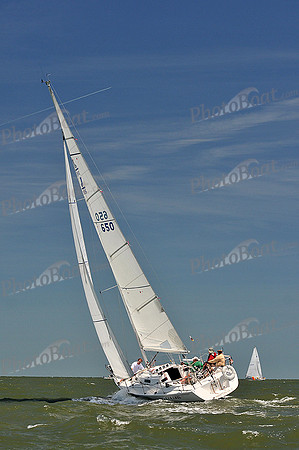 2014 Southern Bay Race Week D 1113