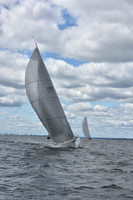 2021 Vineyard Race A 0694
