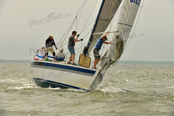 2016 Southern Bay Race Week A_0783