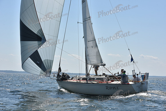 2020 Vineyard Race A_0439