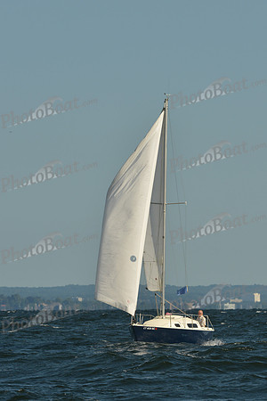 2015 Vineyard Race C 110