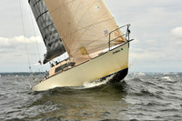 2018 Vineyard Race A_0707