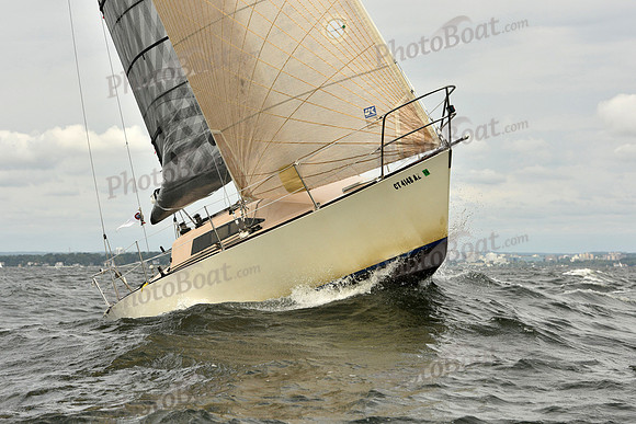 2018 Vineyard Race A_0707