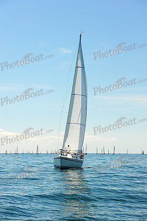 2015 Cape Charles Cup B 241