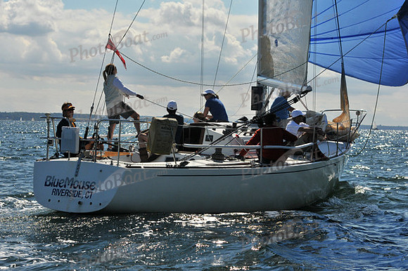 2010 IRC LIS 1558