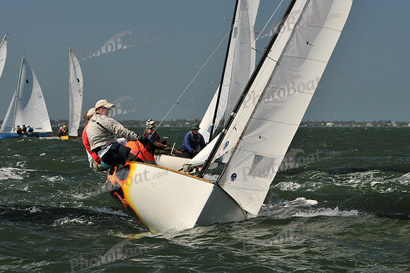 2012 Thistle Midwinters C 116