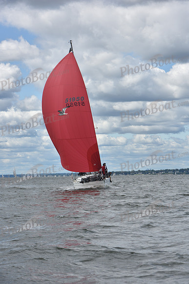 2021 Vineyard Race A 1101