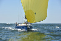 2019 Vineyard Race A_0945