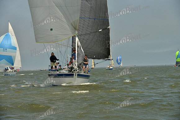 2016 Southern Bay Race Week B_0042
