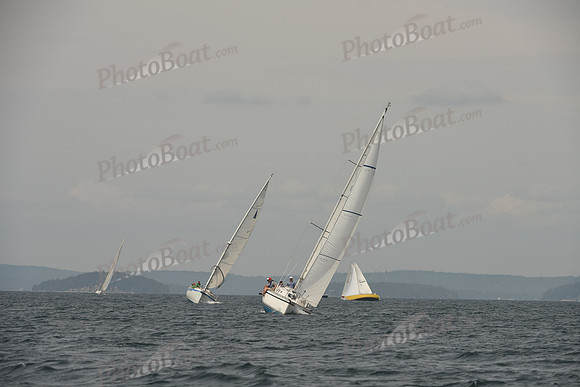 2016 Chester Race Week C_0609