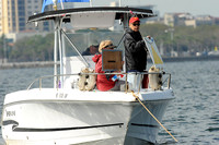 2013 St Pete NOOD_A 2738