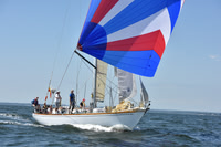2019 Vineyard Race A_2119