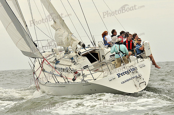 2013 Charleston Race Week A 484