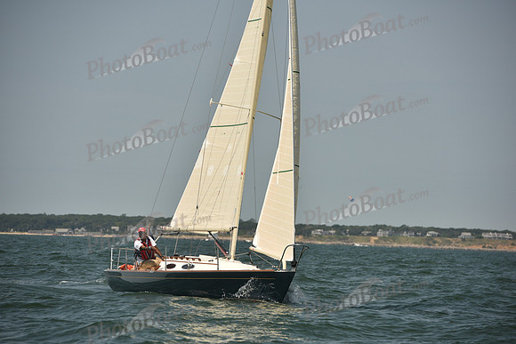 2018 Vineyard Cup A_0628