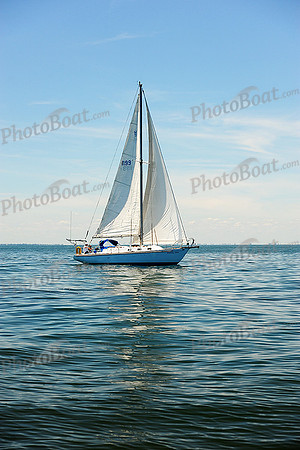 2015 Cape Charles Cup B 273