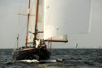 2013 Vineyard Race A 611
