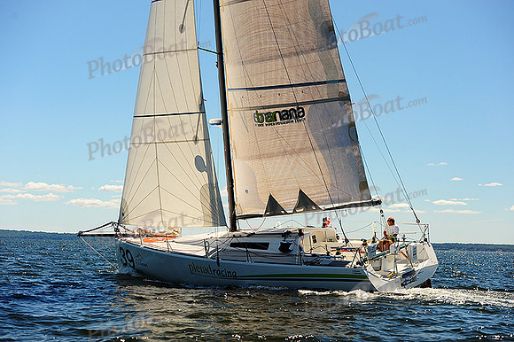 2014 Vineyard Race A 736