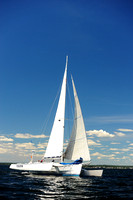 2014 Vineyard Race A 1534