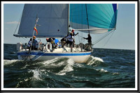 proof_2010_Vineyard_Race_0564
