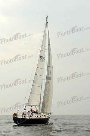 2013 Vineyard Race B 205