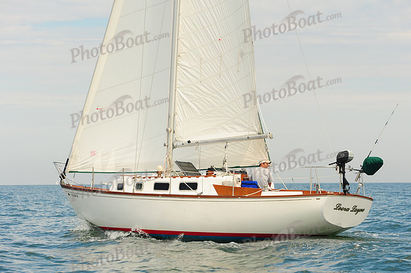 2014 Cape Charles Cup B 534