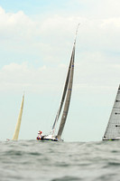 2014 NYYC Race Week A 115