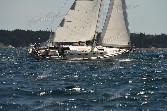 2016 Chester Race Week A_0591